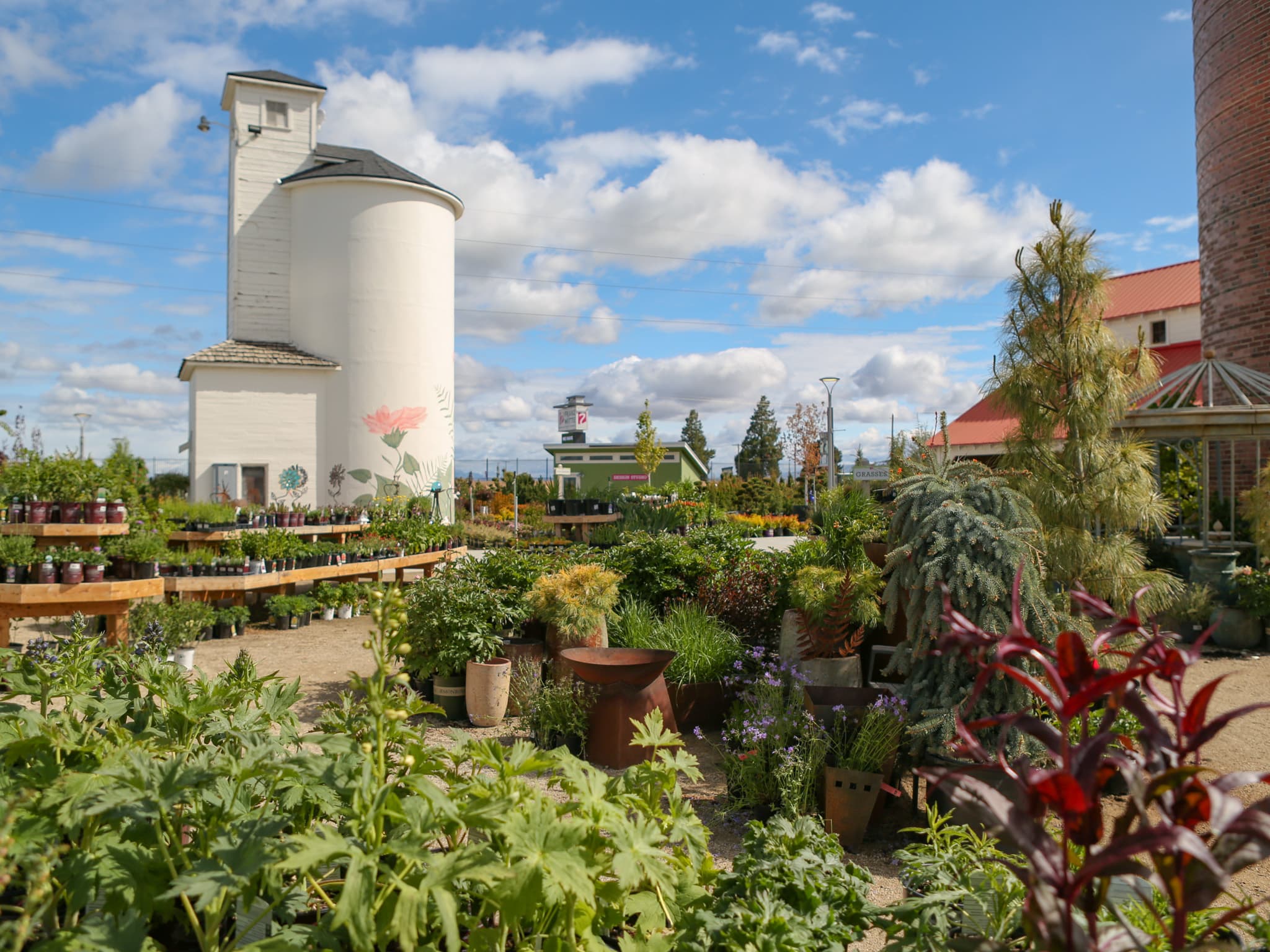 Franz Witte Garden Center grounds, plants, display gardens, and historic buildings
