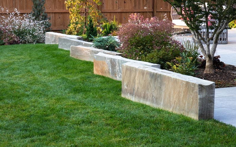 Natural stone retaining wall and mature planting in a Franz Witte landscape